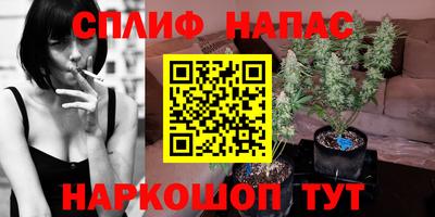соль ск Краснодар